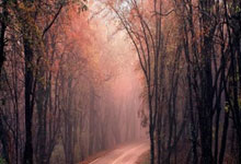 问鼎国际官网：[CBA]季后赛4月24日：上海VS浙江 集锦.