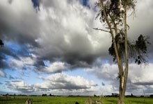 问鼎国际官网：罗马诺：欧联杯对澳波的执教至关重要 若换帅热刺最青睐伊劳拉.