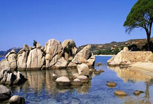 [网球]郑钦文直落两盘晋级女单八强.